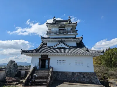 杵築の煎茶