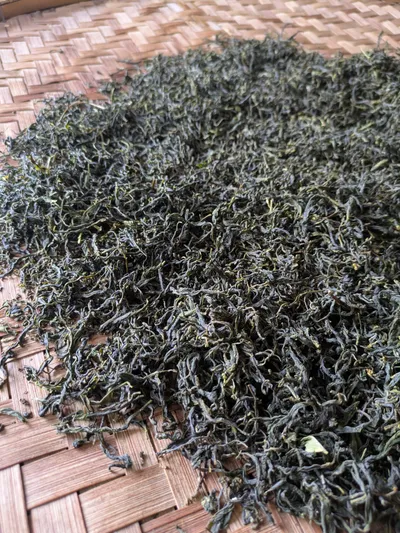 佐伯の因尾茶